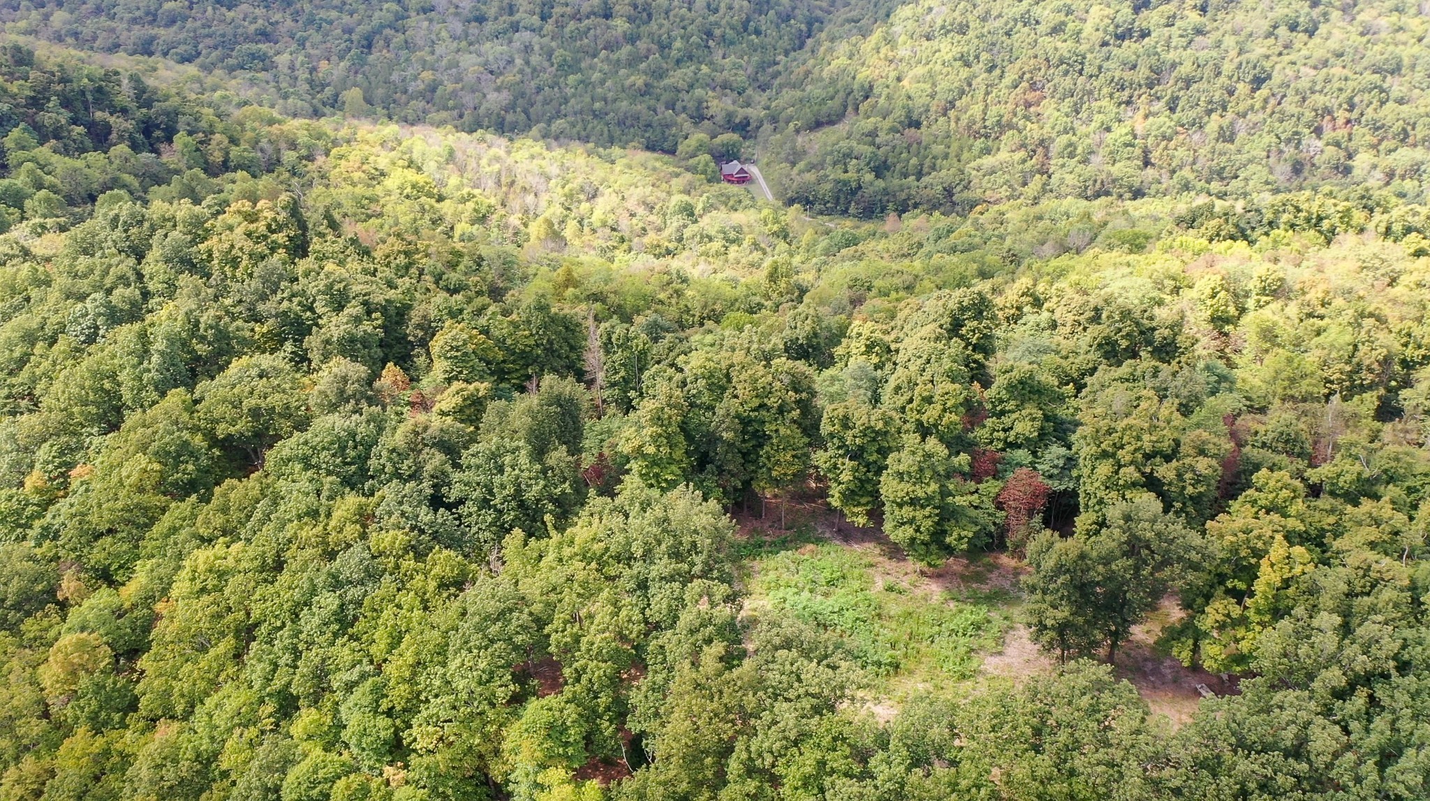 7659 Burks Rd, Christiana, TN 37037