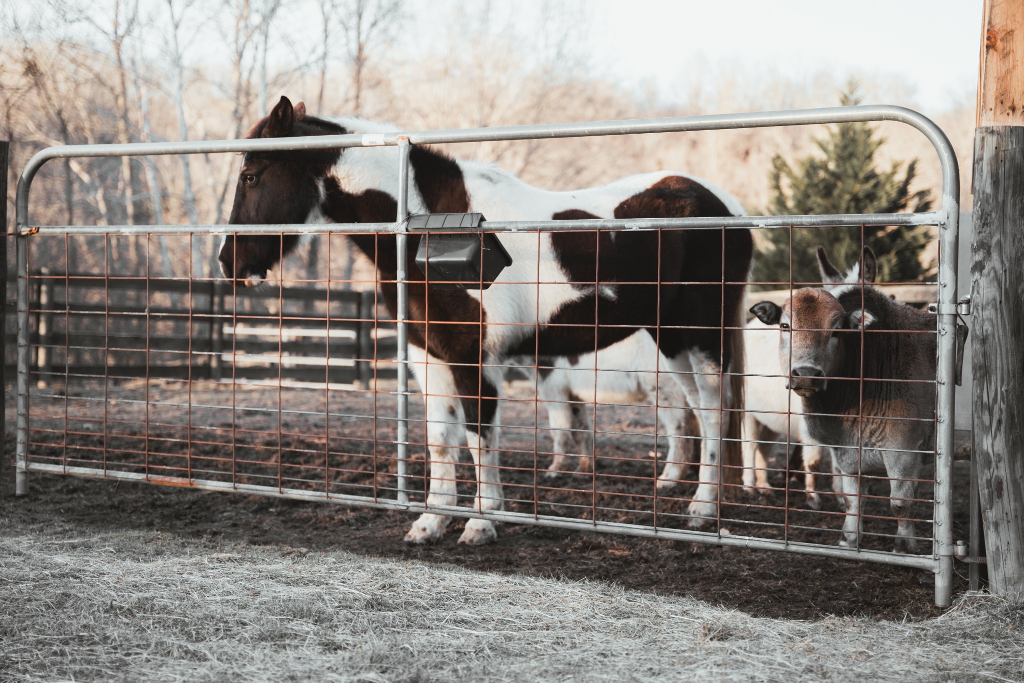 7515 Pewitt Rd, Franklin, TN 37064