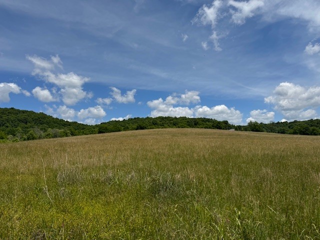 167 Plunkett Creek Rd, Gordonsville, TN 38563