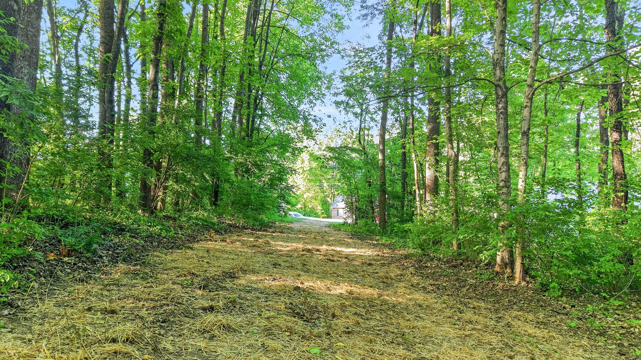 212 Juanita Dr, Springfield, TN 37172