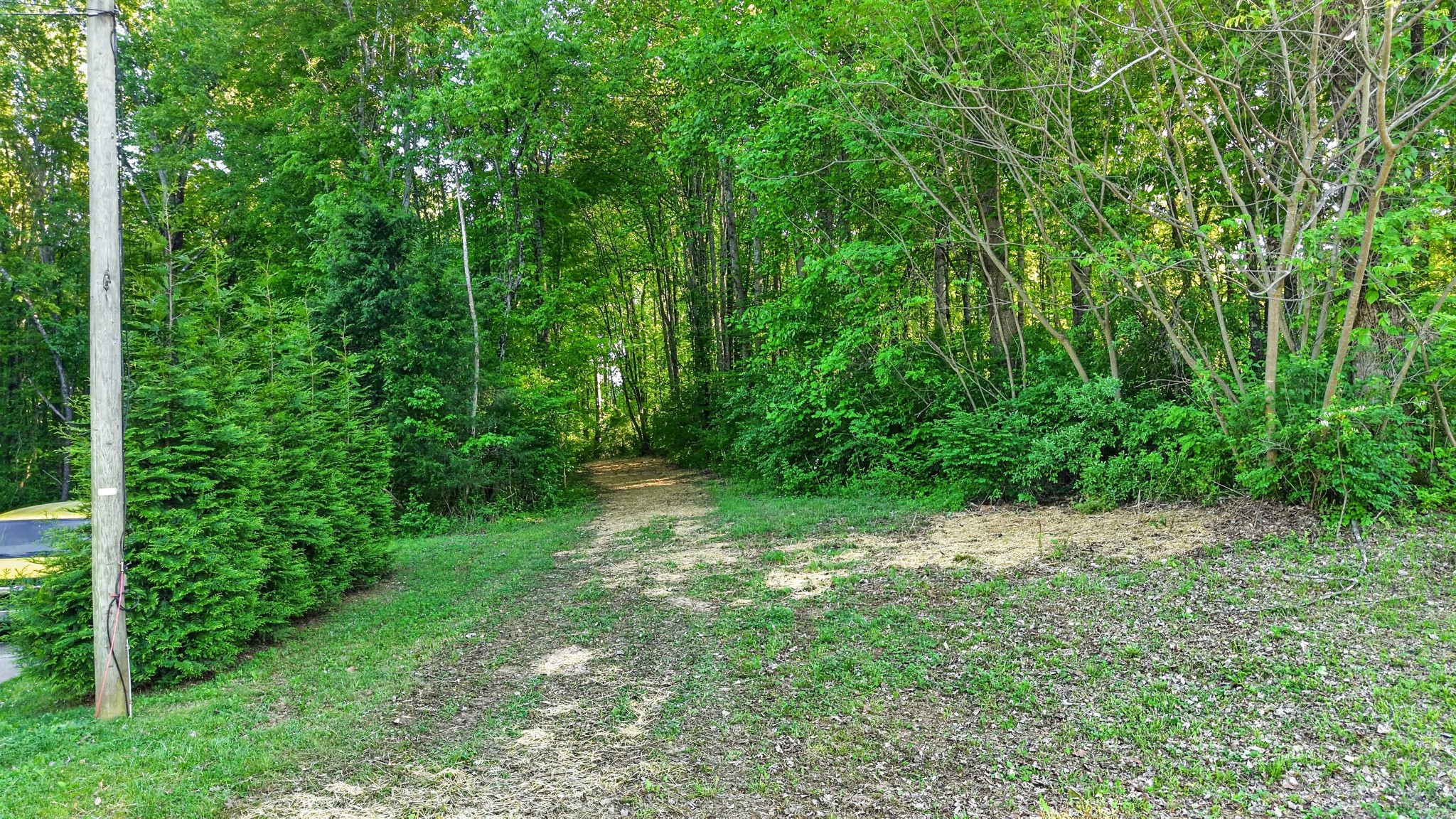 212 Juanita Dr, Springfield, TN 37172