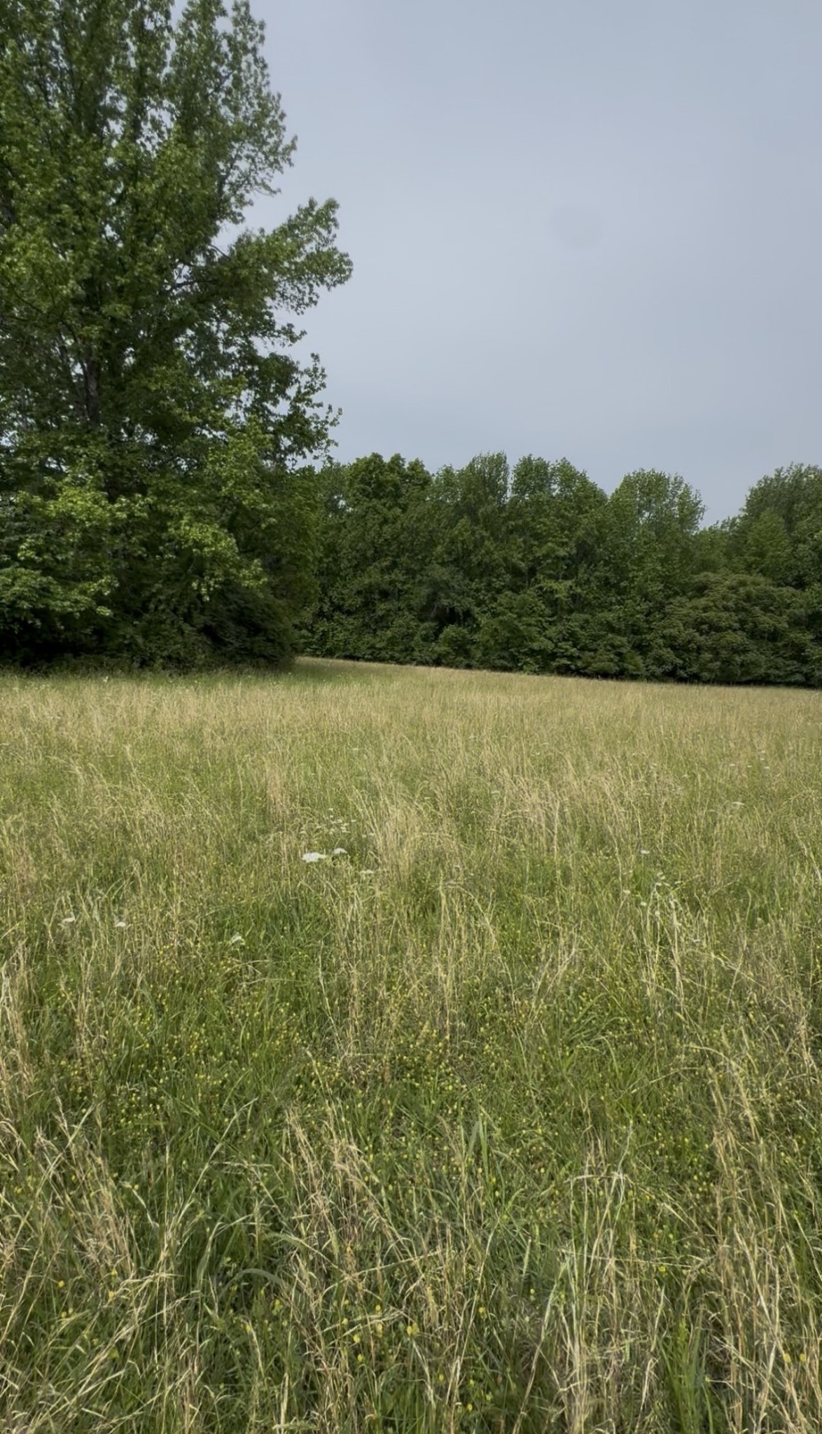 0 Riverview Rd Lot 1, Mount Juliet, TN 37122