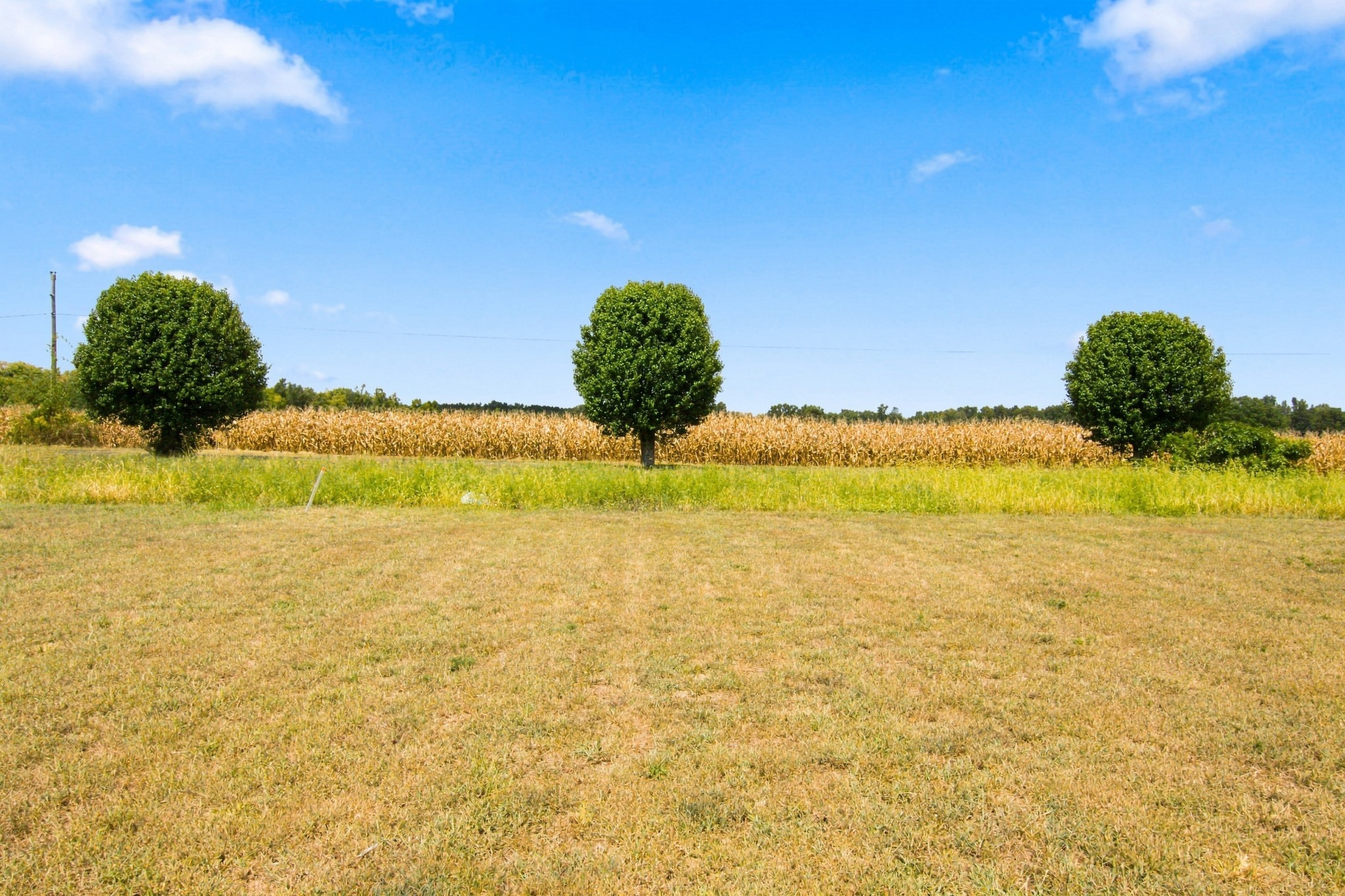 761 Emerson Ln, Westmoreland, TN 37186