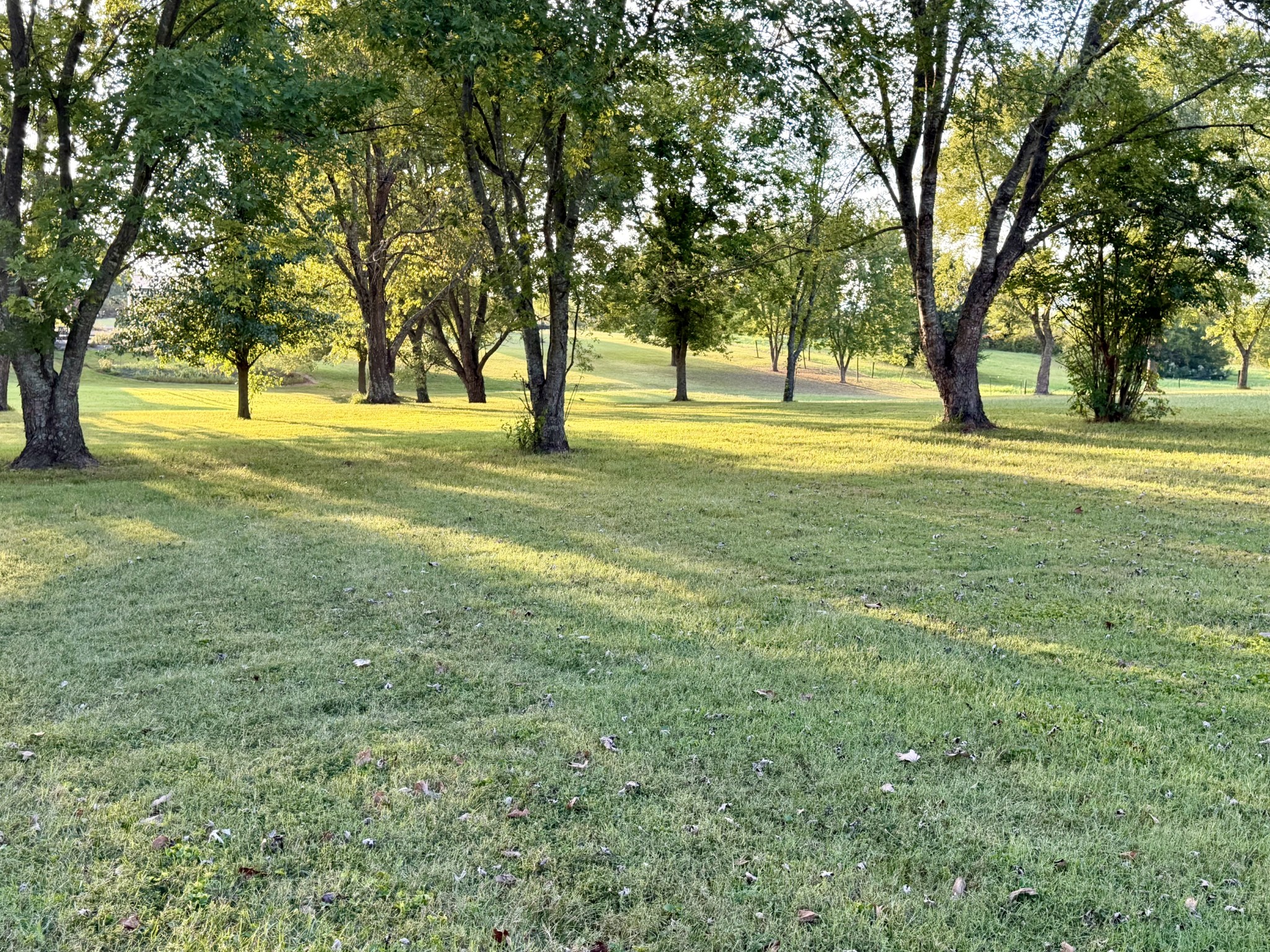759 Rock Springs Rd, Castalian Springs, TN 37031