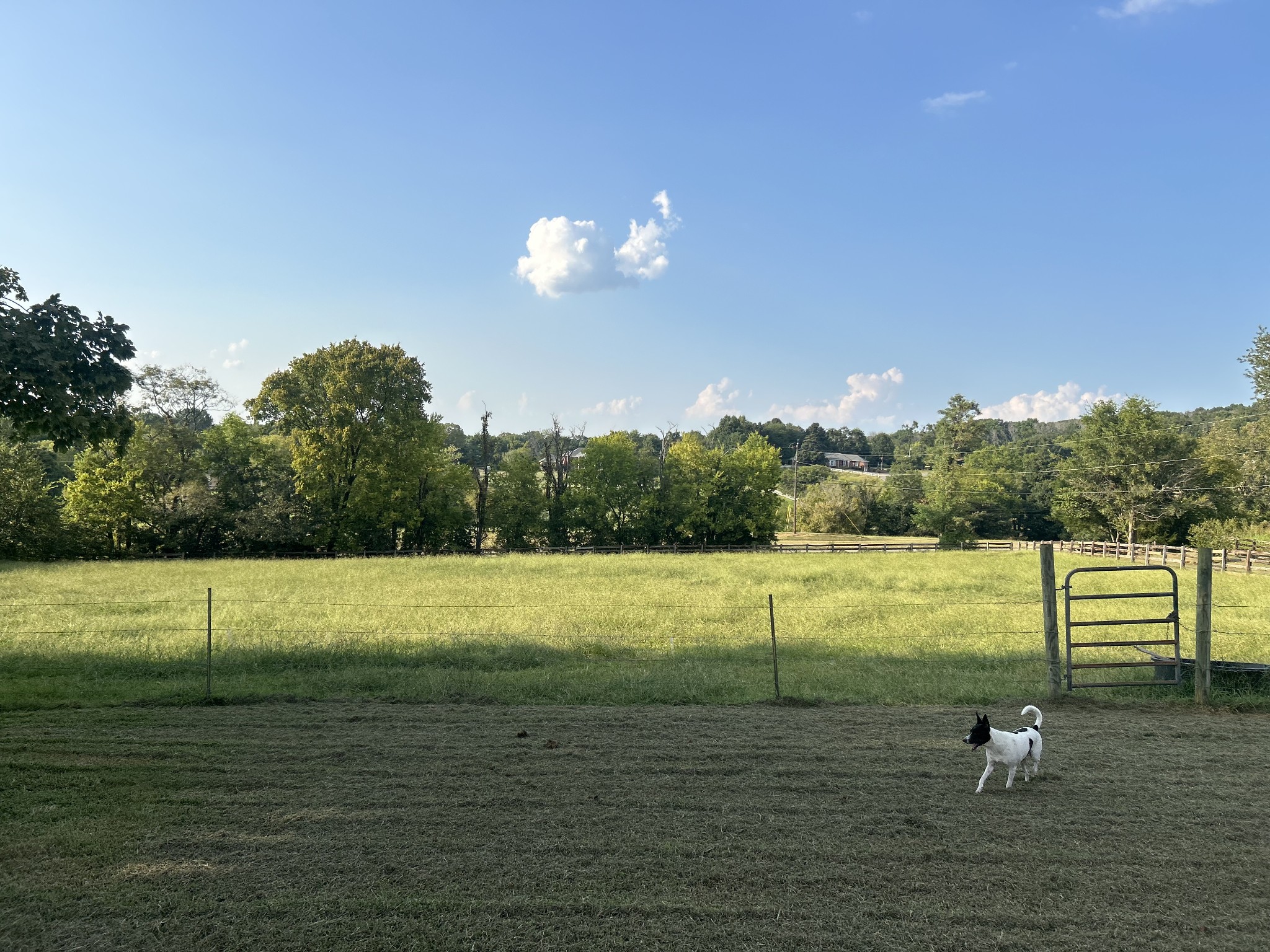 4722 Hickory Ridge Rd, Lebanon, TN 37087