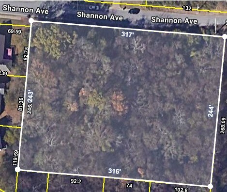319 Sarver Ave, Madison, TN 37115