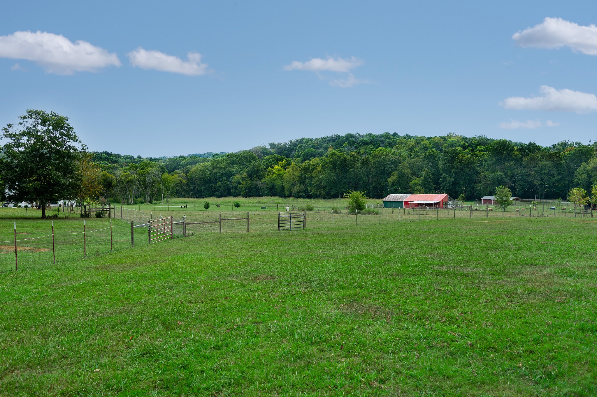 5205 Se Tater Peeler Rd, Lebanon, TN 37090