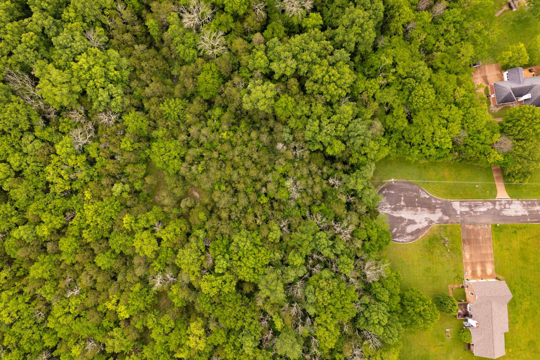 0 Canterbury Trl, Mount Juliet, TN 37122
