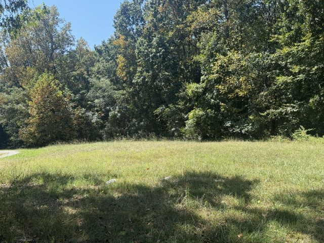 0 Vanleer Hwy, Charlotte, TN 37036