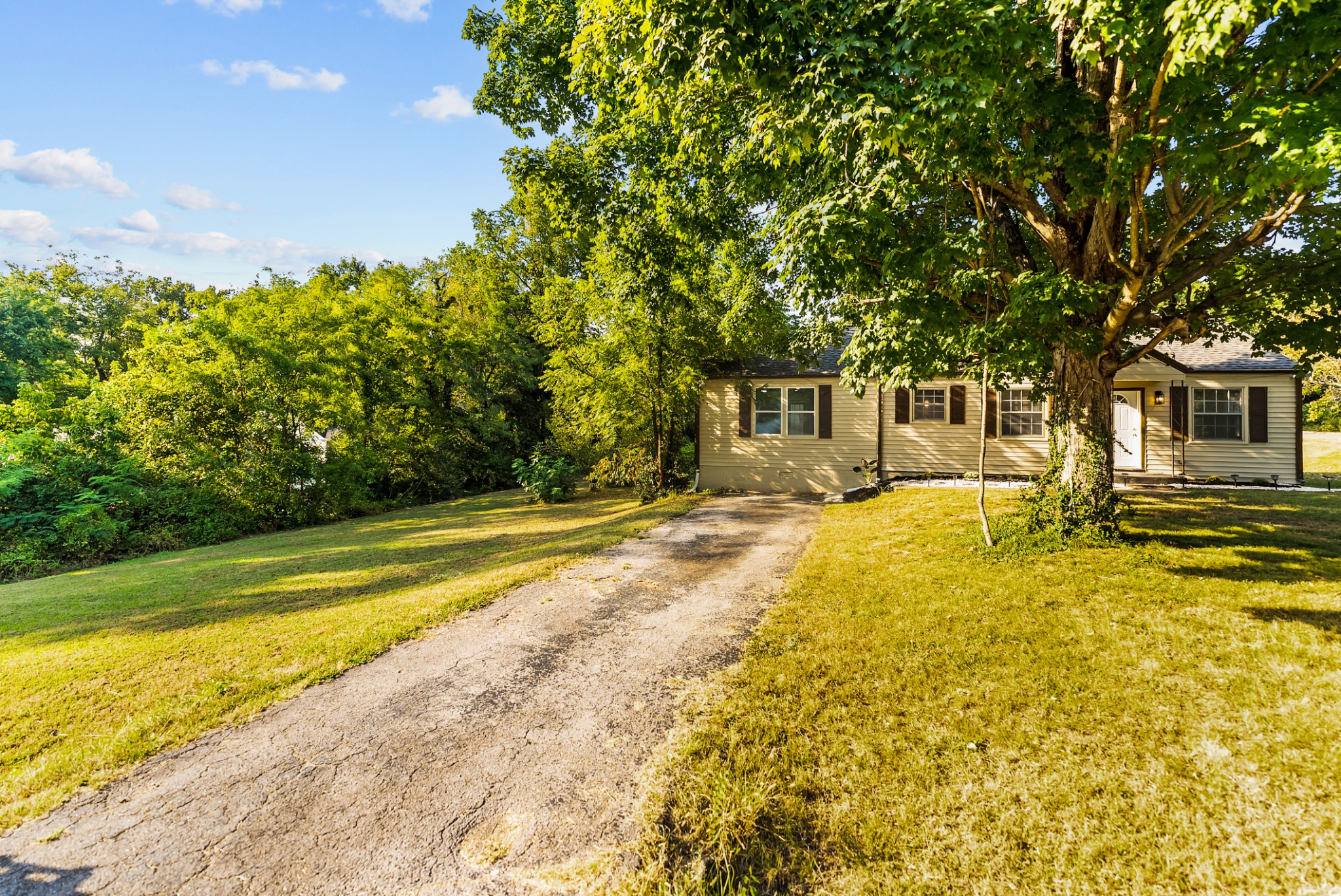 1232 Coarsey Dr, Nashville, TN 37217