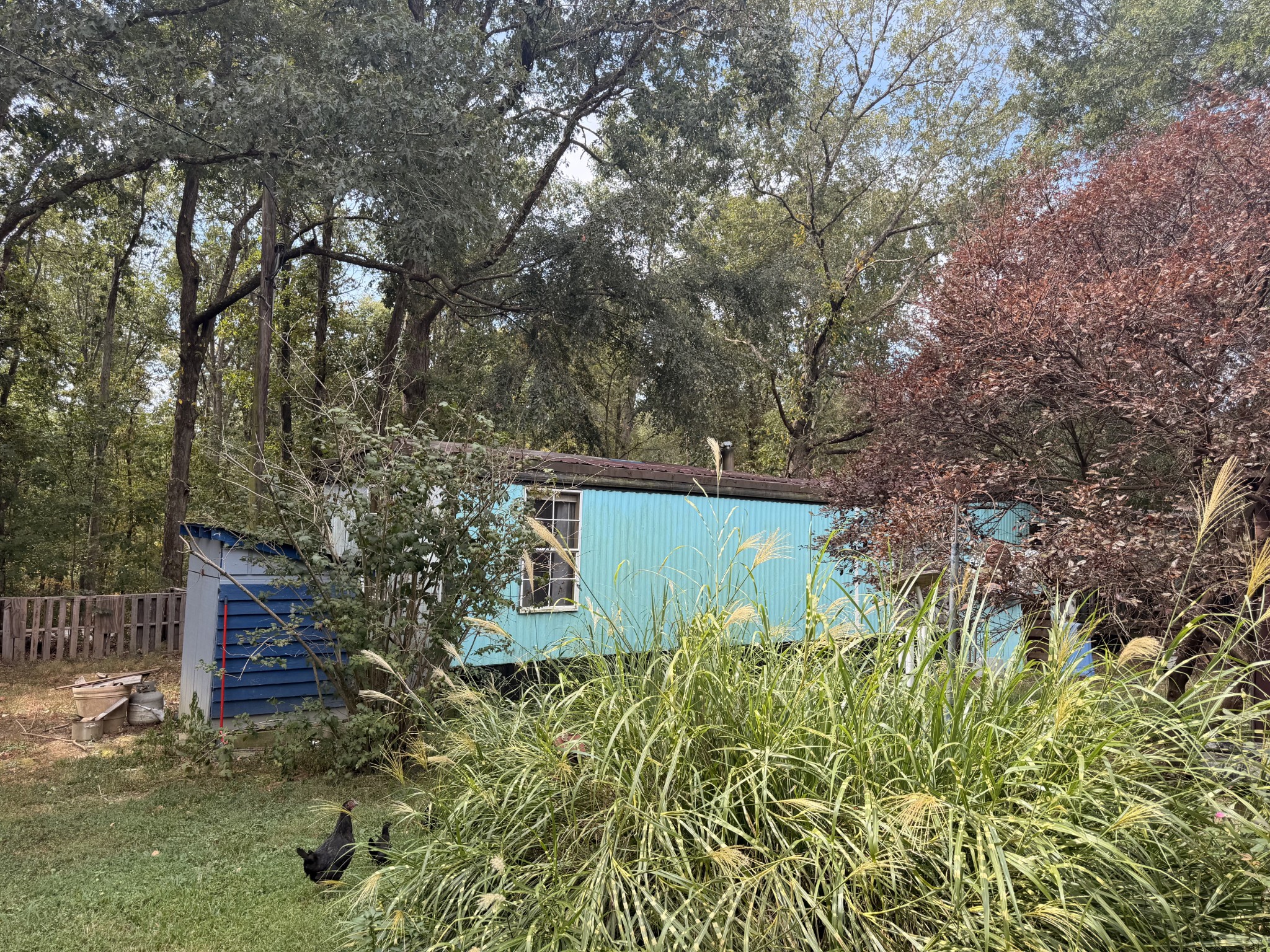 2315 Butcher Ridge Rd, Cumberland Furnace, TN 37051