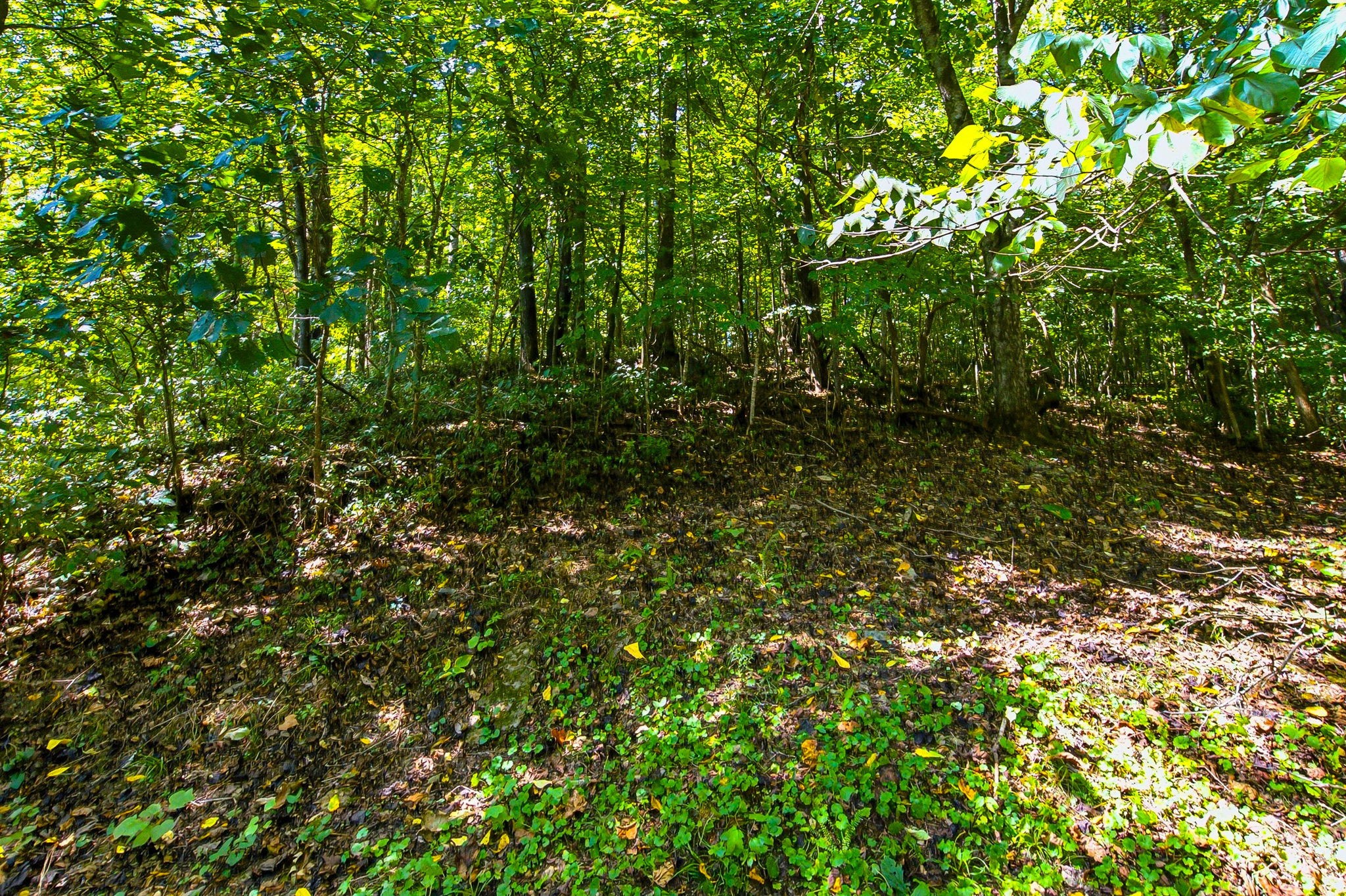 3590 Abednego Rd, Greenbrier, TN 37073