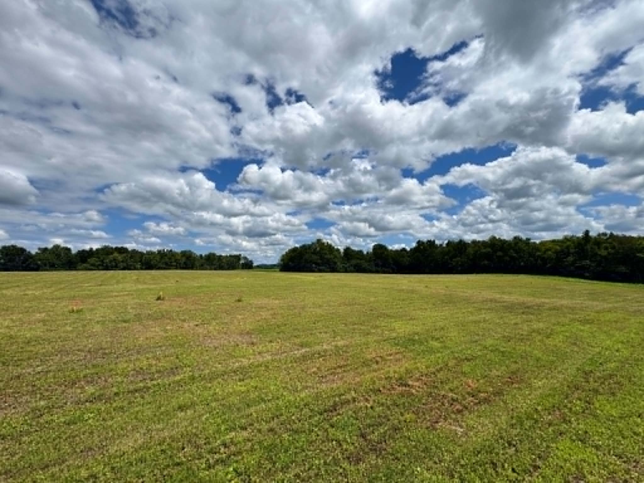 0 Ben Armstrong Rd Lot 4, Castalian Springs, TN 37031