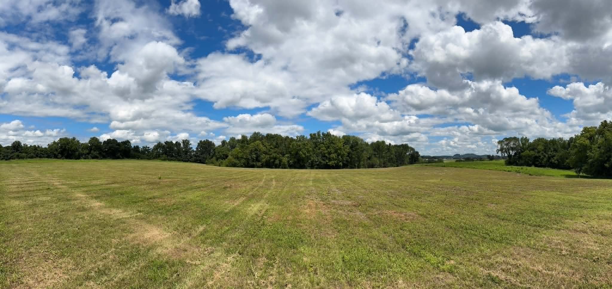 0 Ben Armstrong Rd Lot 6, Castalian Springs, TN 37031