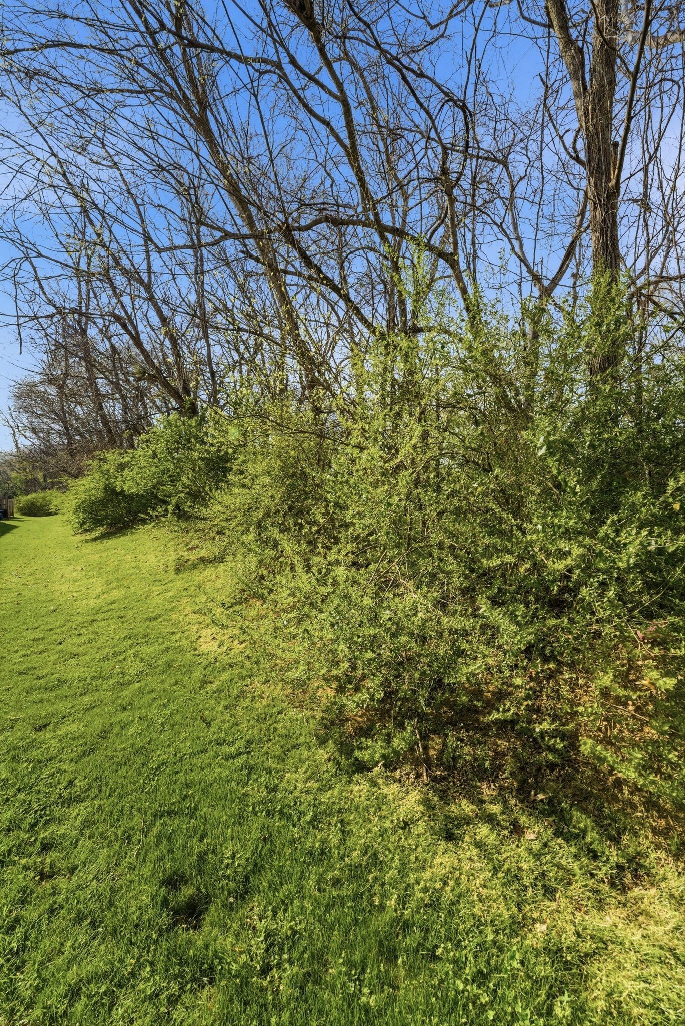 403 Newport Meadows Cir, Thompsons Station, TN 37179