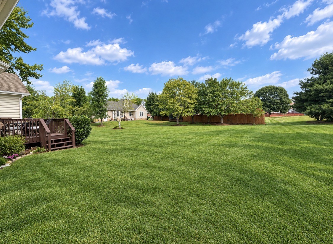 2942 Mercer Ln, Thompsons Station, TN 37179