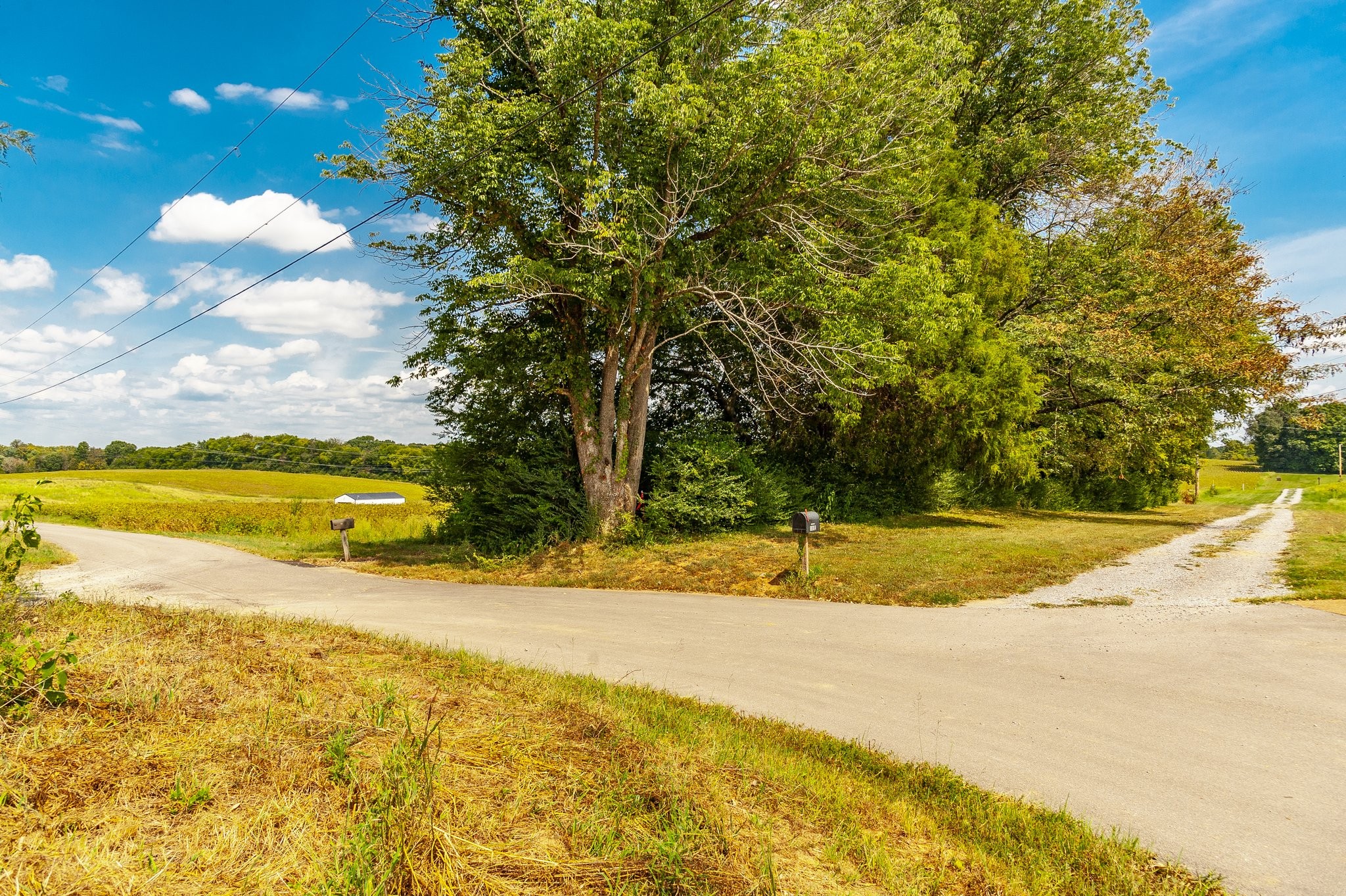 0 Robertson Rd E Lot 8, Castalian Springs, TN 37031
