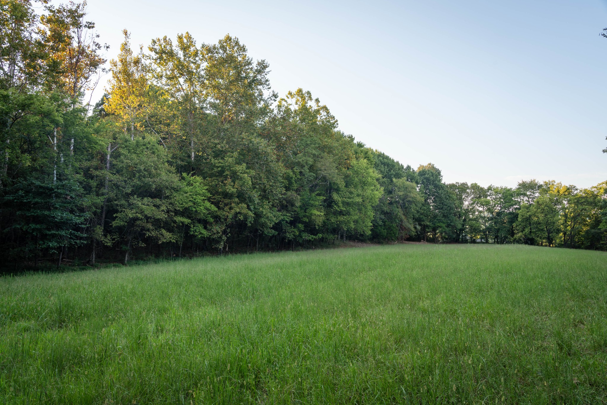 6807 Cross Keys Rd, College Grove, TN 37046