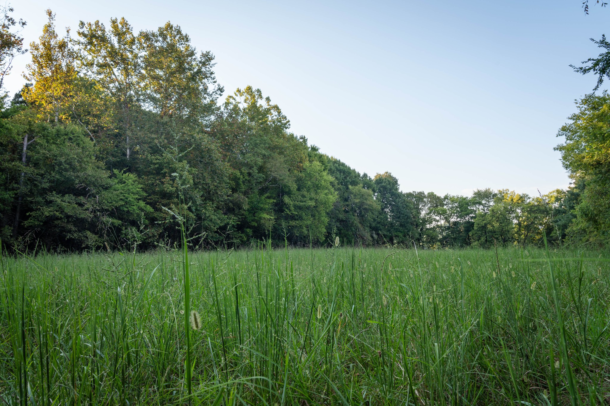 6807 Cross Keys Rd, College Grove, TN 37046