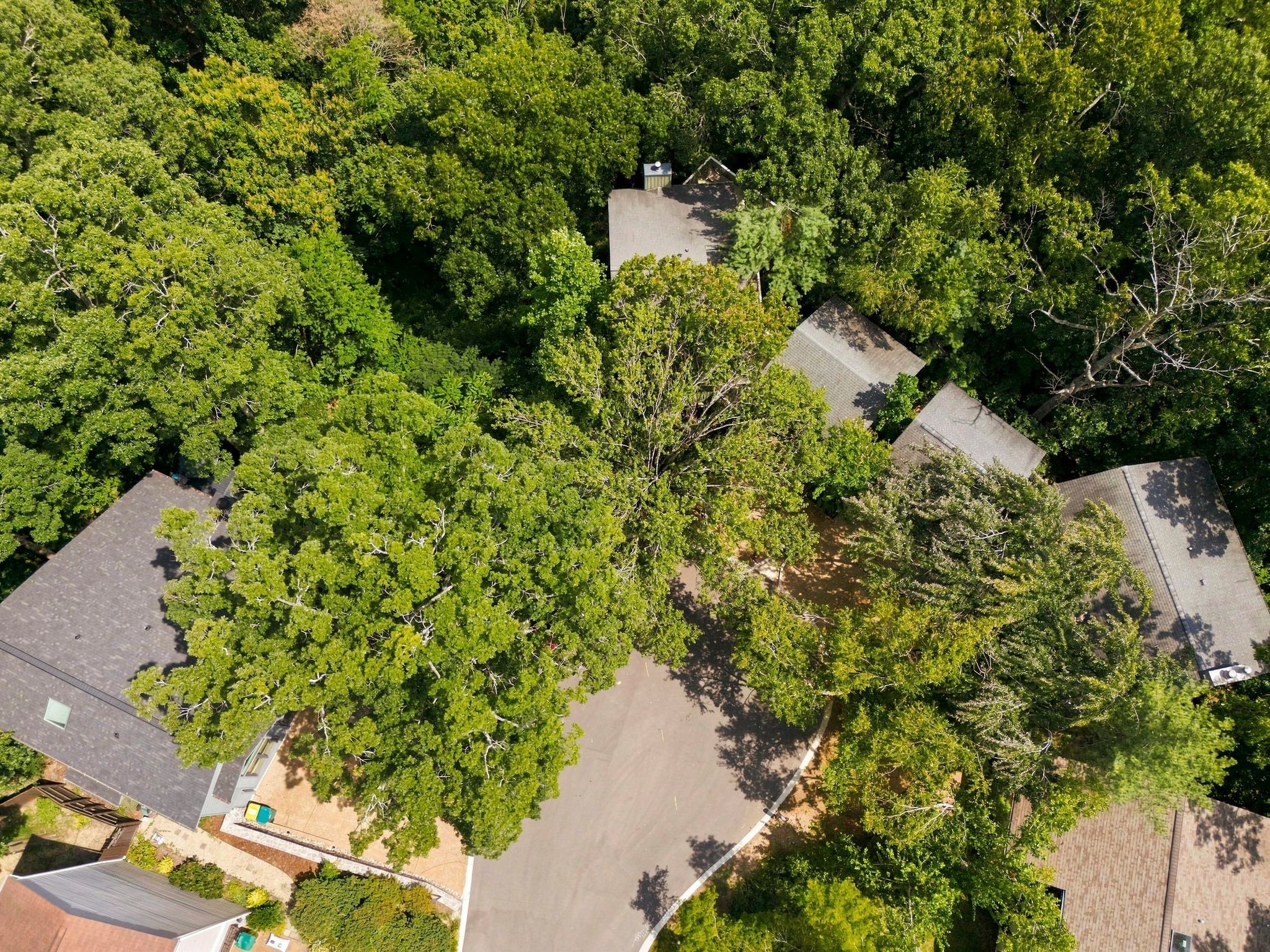 117 Harpeth Trace Ct, Nashville, TN 37221