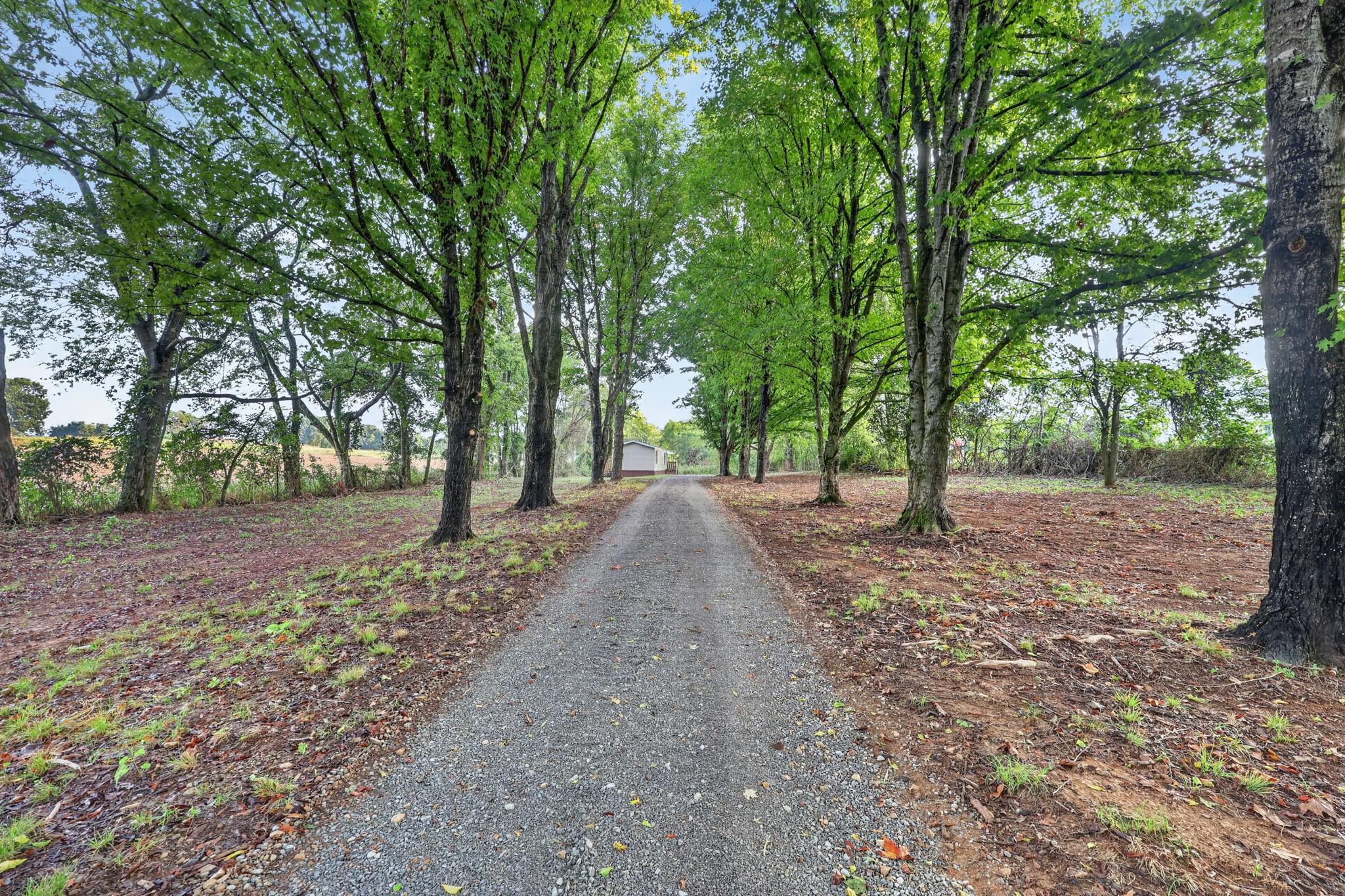 310 Carter Ln, Castalian Springs, TN 37031