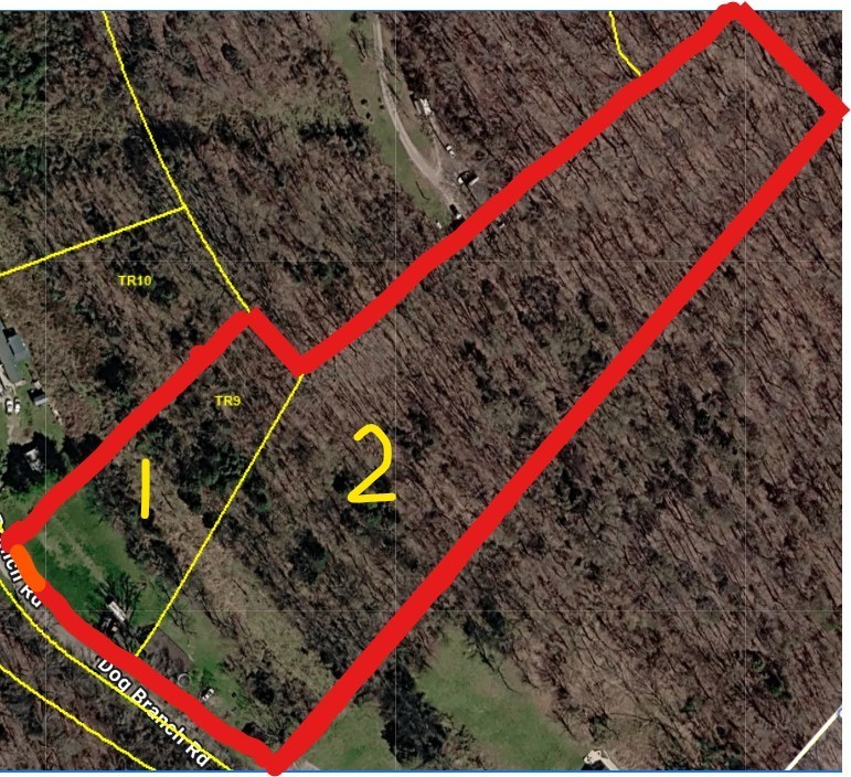 86 Dog Branch Rd S, Pleasant Shade, TN 37145