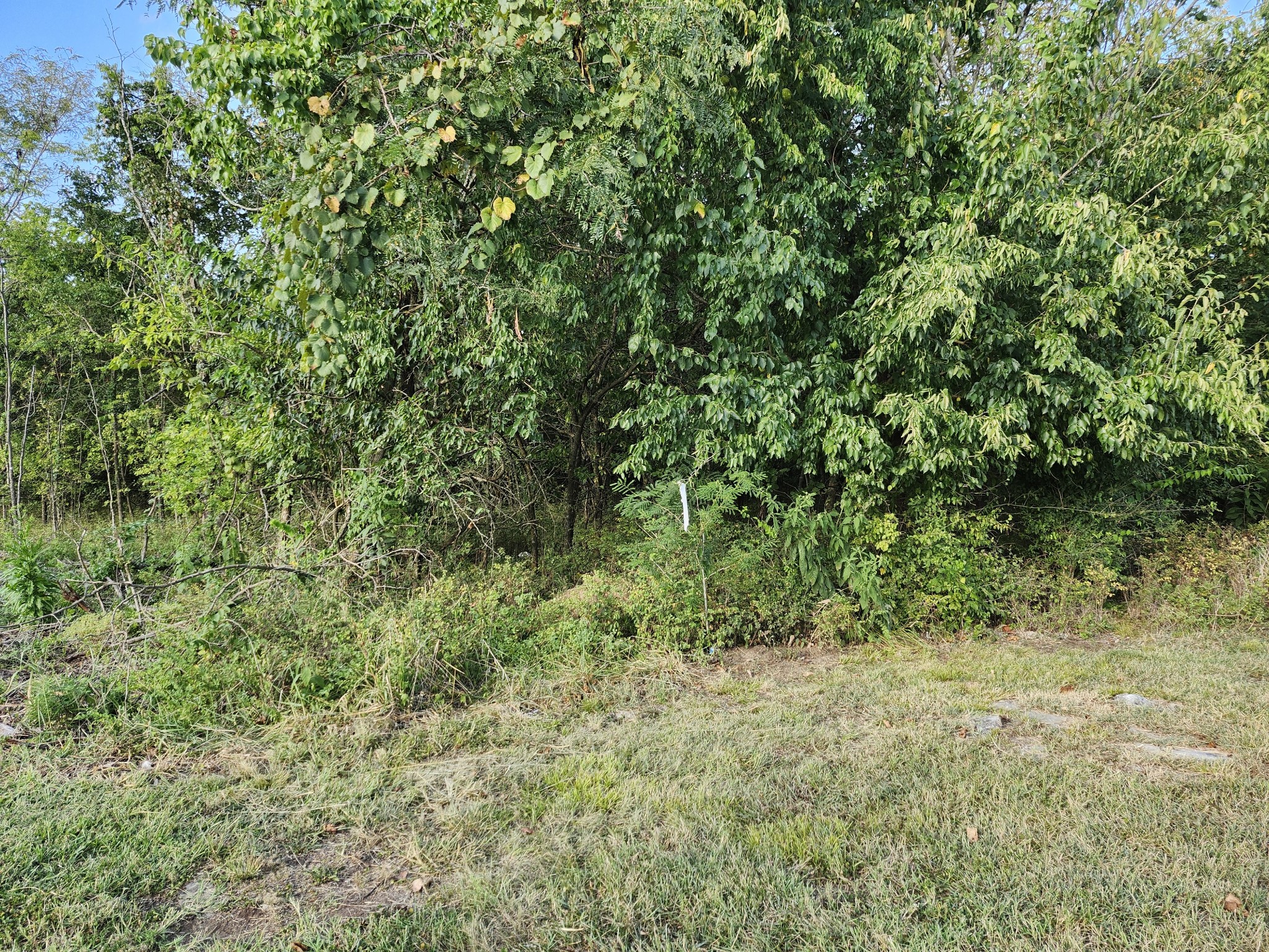 683 Battle Rd, Nolensville, TN 37135