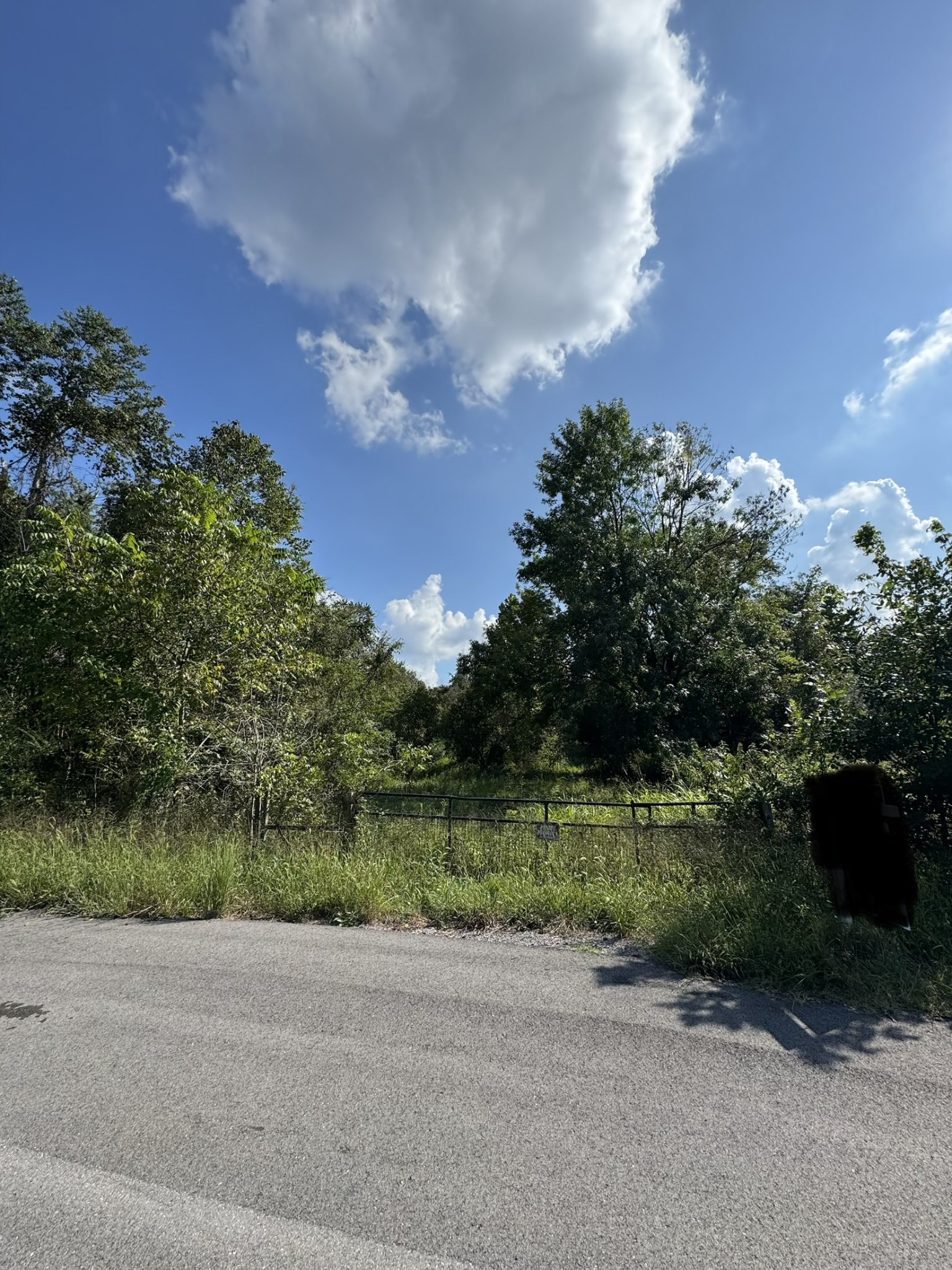 216 Running Meadows Rd, Portland, TN 37148