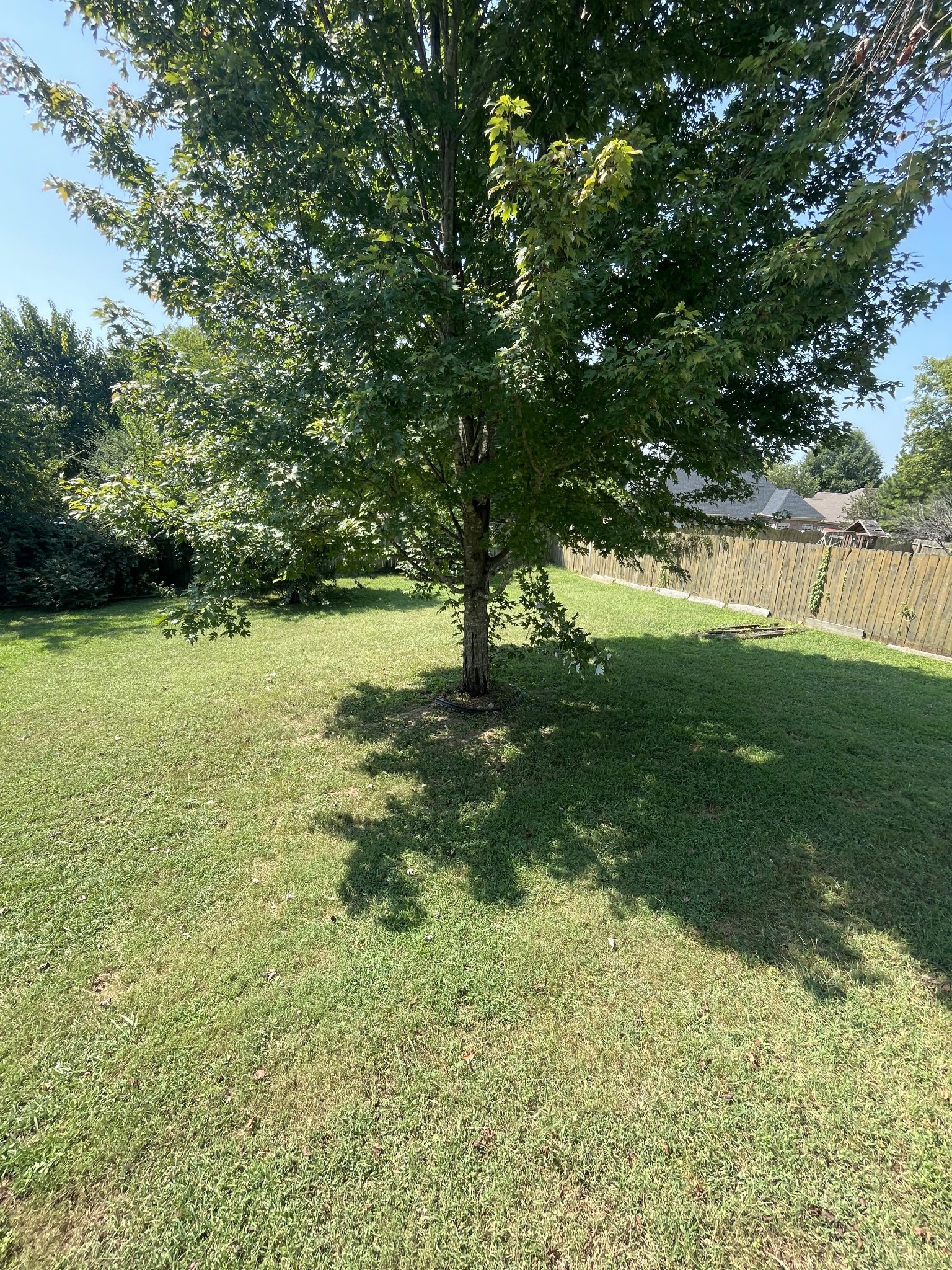 2885 Sutherland Dr, Thompsons Station, TN 37179