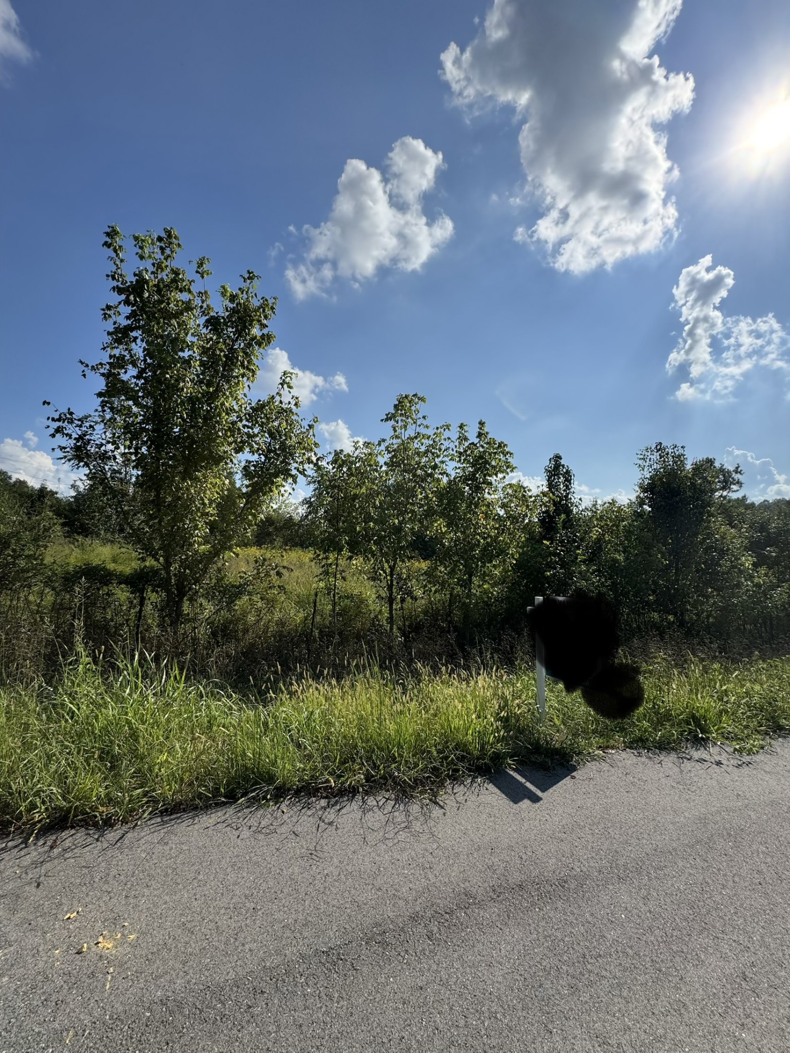 230 Running Meadows Rd, Portland, TN 37148