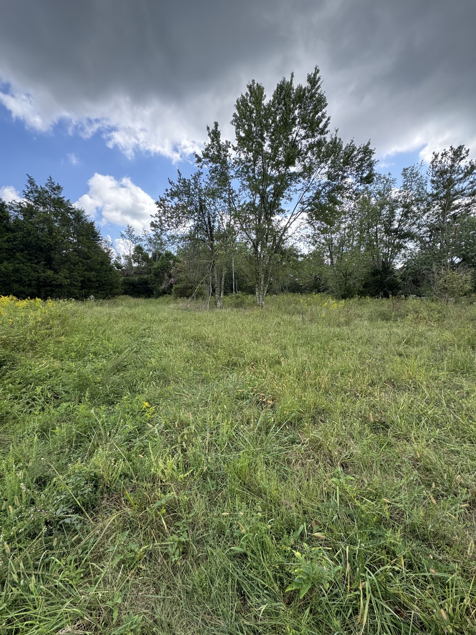 230 Running Meadows Rd, Portland, TN 37148