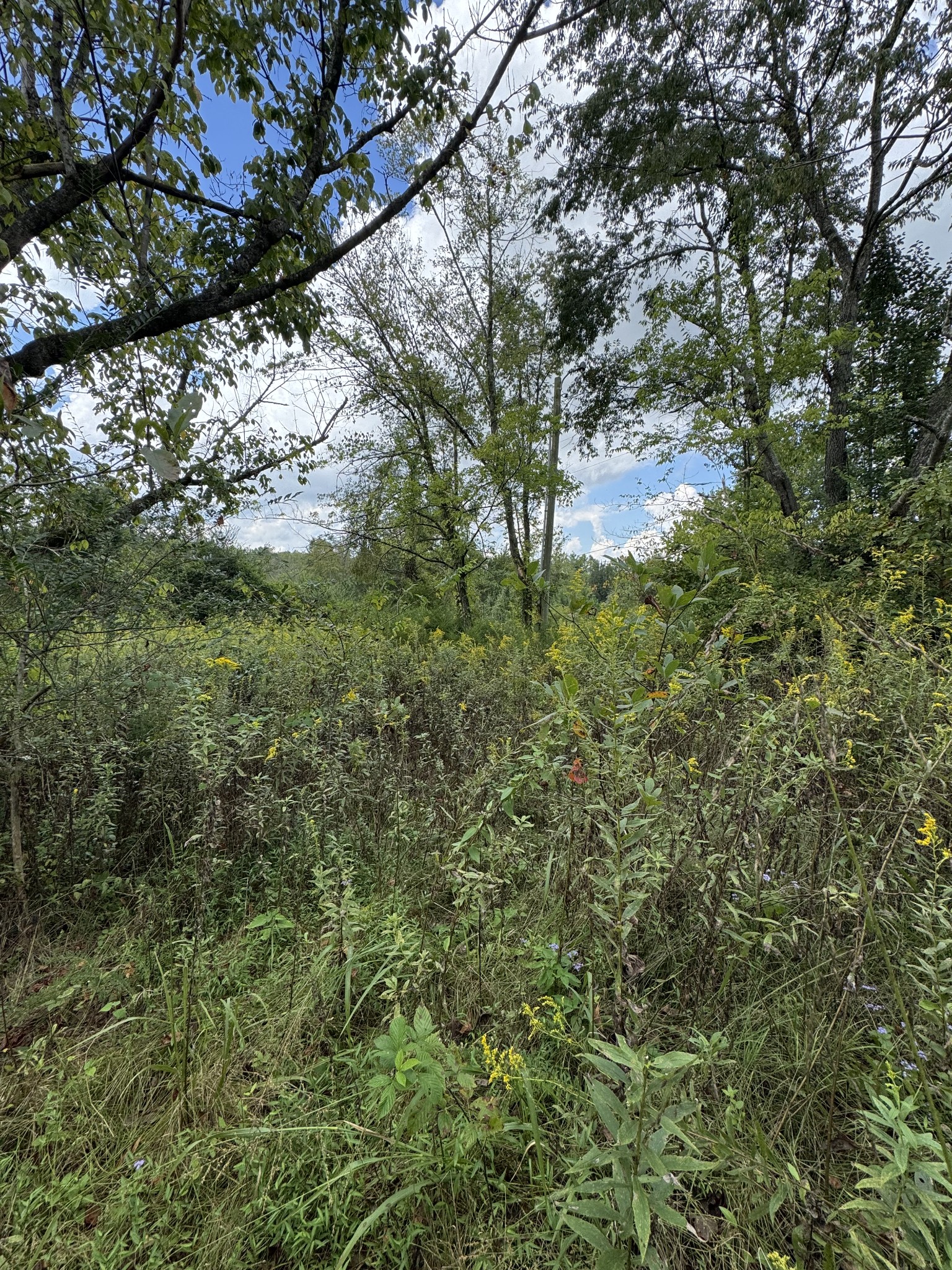 230 Running Meadows Rd, Portland, TN 37148