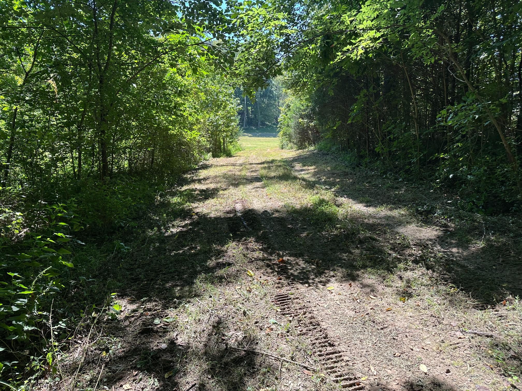 6414 Peytonsville Arno Rd, College Grove, TN 37046