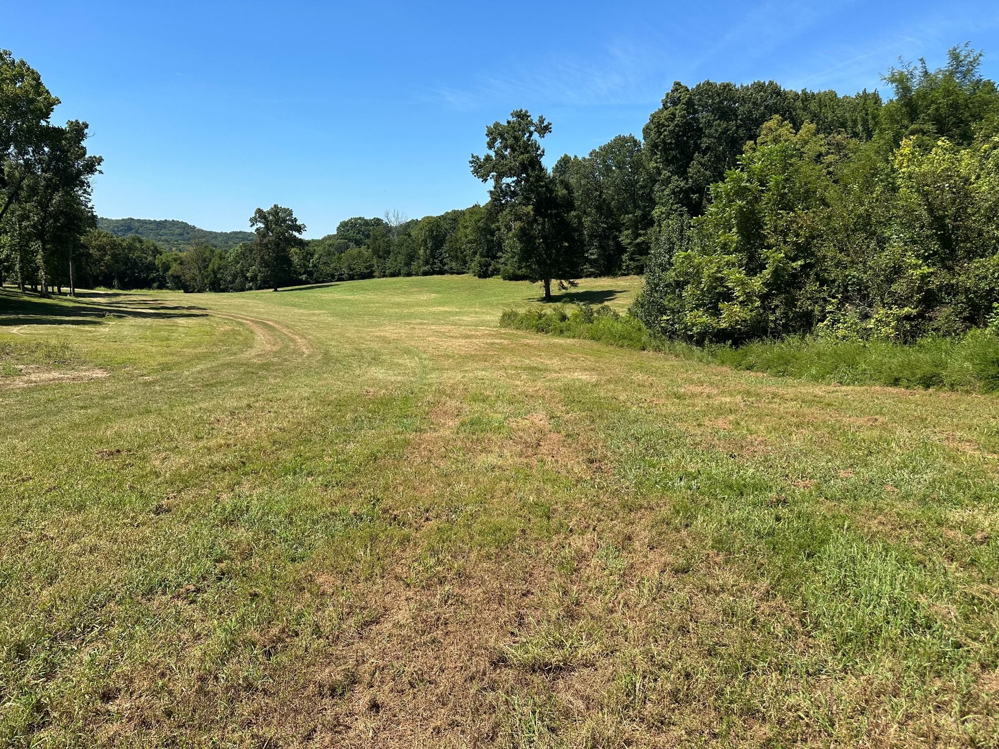 6414 Peytonsville Arno Rd, College Grove, TN 37046
