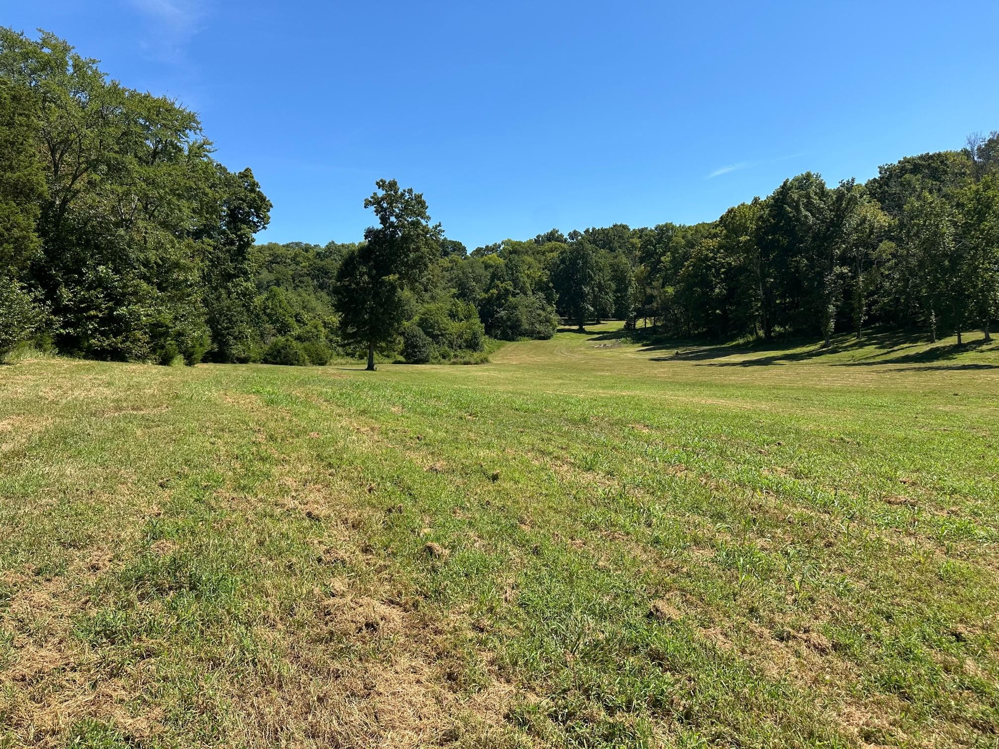 6414 Peytonsville Arno Rd, College Grove, TN 37046