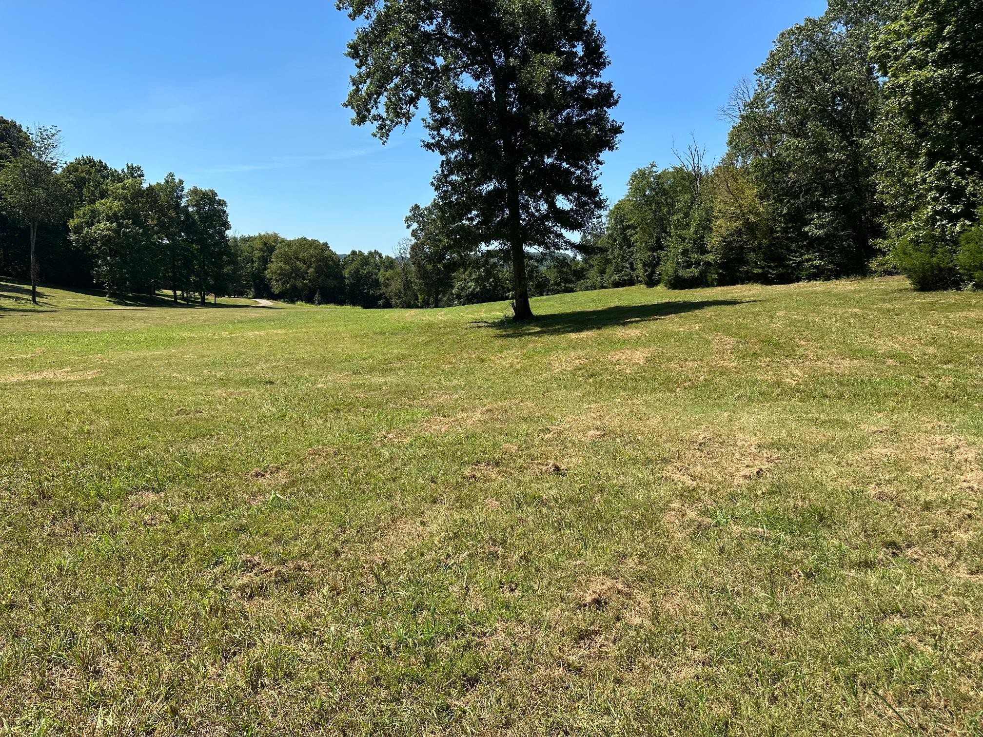 6414 Peytonsville Arno Rd, College Grove, TN 37046