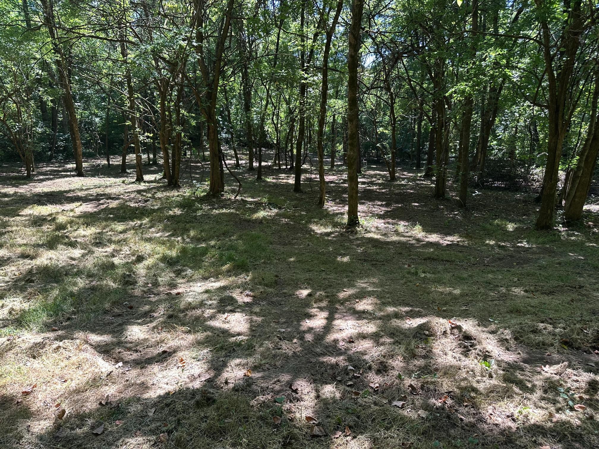6414 Peytonsville Arno Rd, College Grove, TN 37046