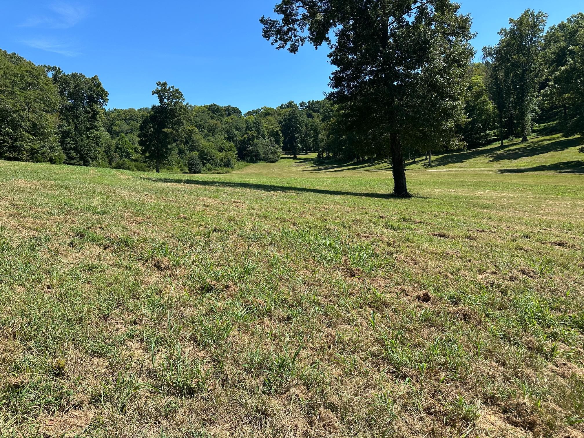 6414 Peytonsville Arno Rd, College Grove, TN 37046