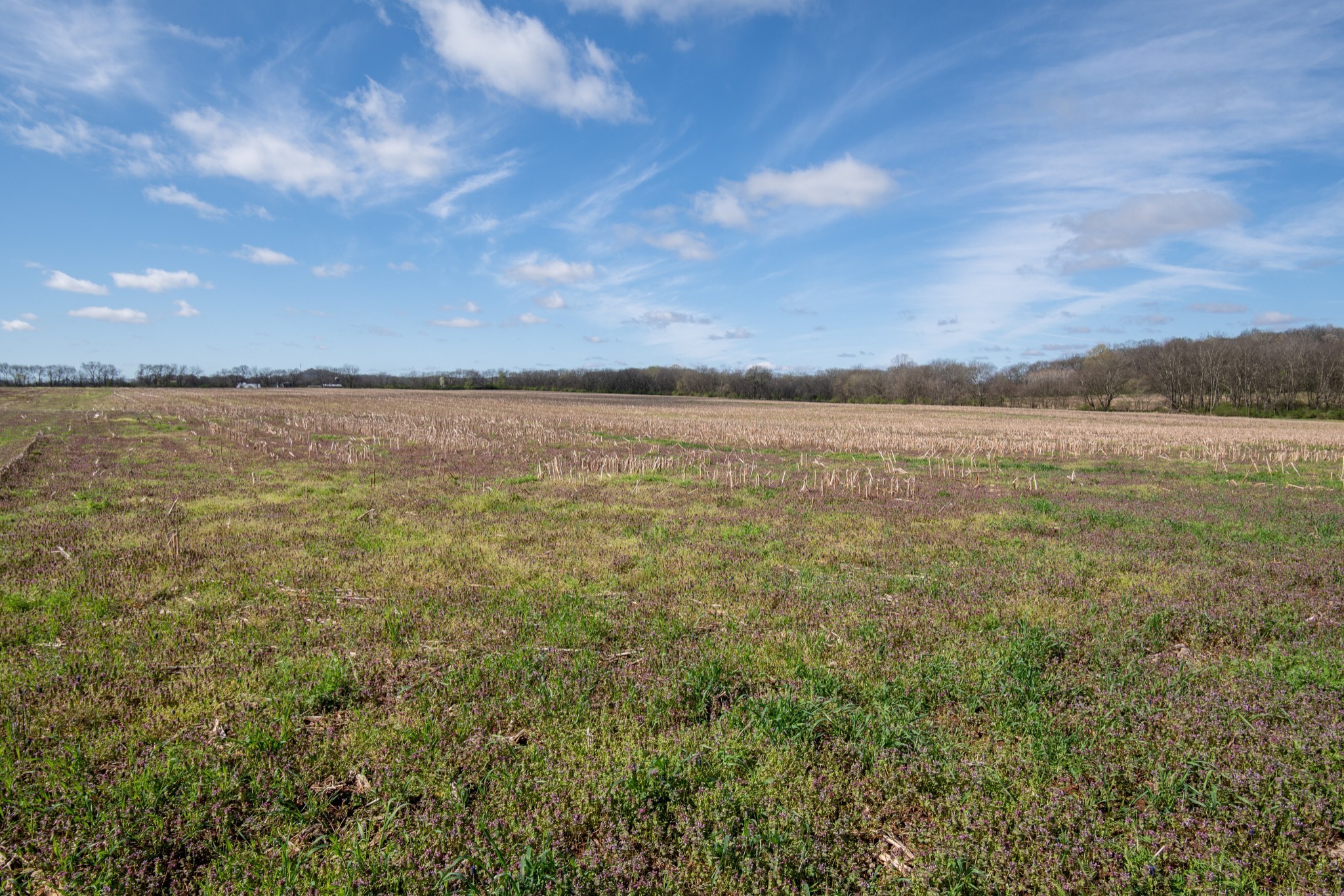 0 South Cross Bridges Rd, Mount Pleasant, TN 38474