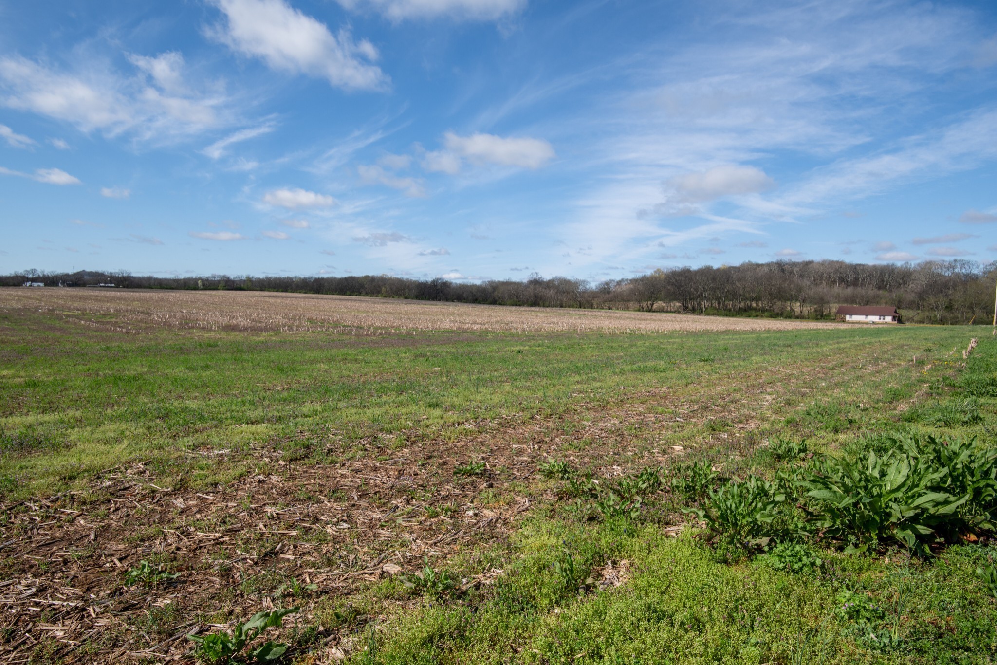 0 South Cross Bridges Rd, Mount Pleasant, TN 38474