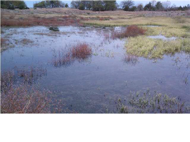 0 W Trail West Rd, Plevna, KS 67568