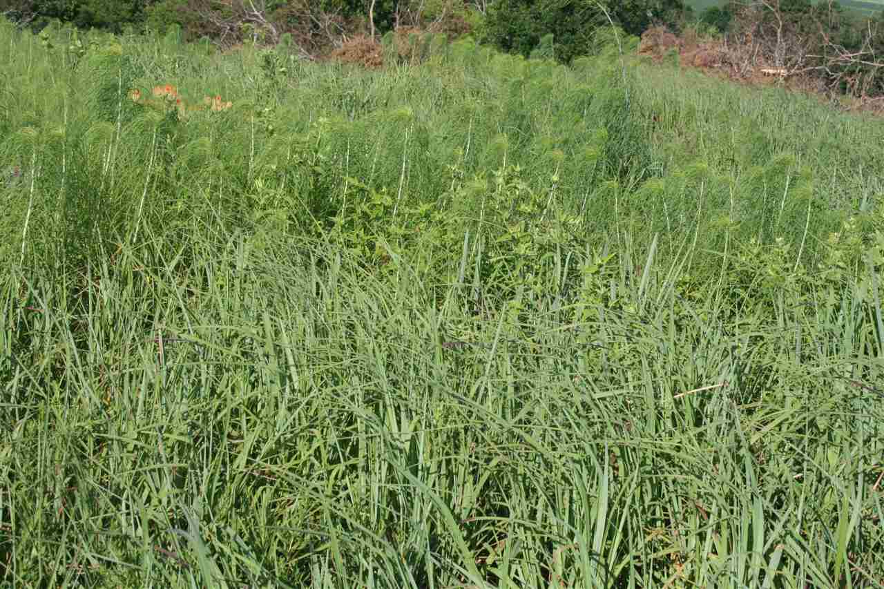 669 Road 19, Elk Falls, KS 67345
