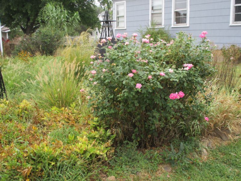 703 Santa Fe, Durham, KS 67438