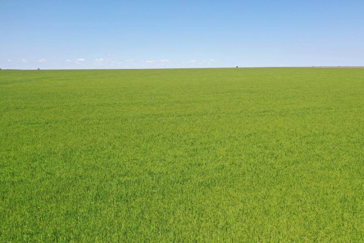 000 Upland Rd, Lincolnville, KS 66858