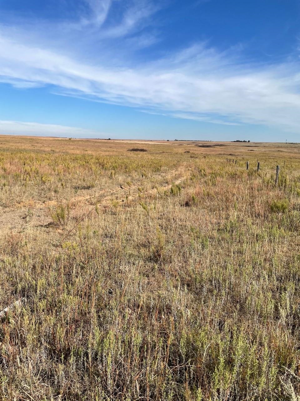 2328 Highway 183, Coldwater, KS 67029
