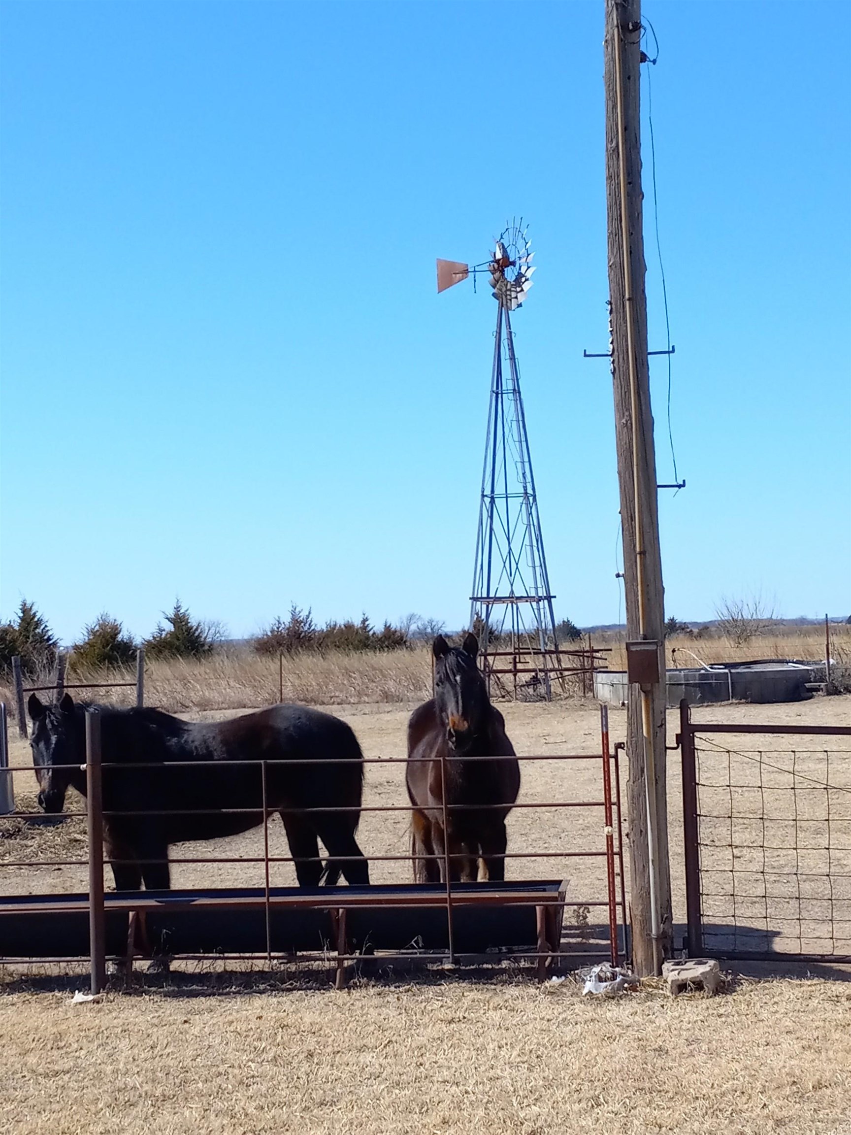 1229 NE 150 Rd, Argonia, KS 67004