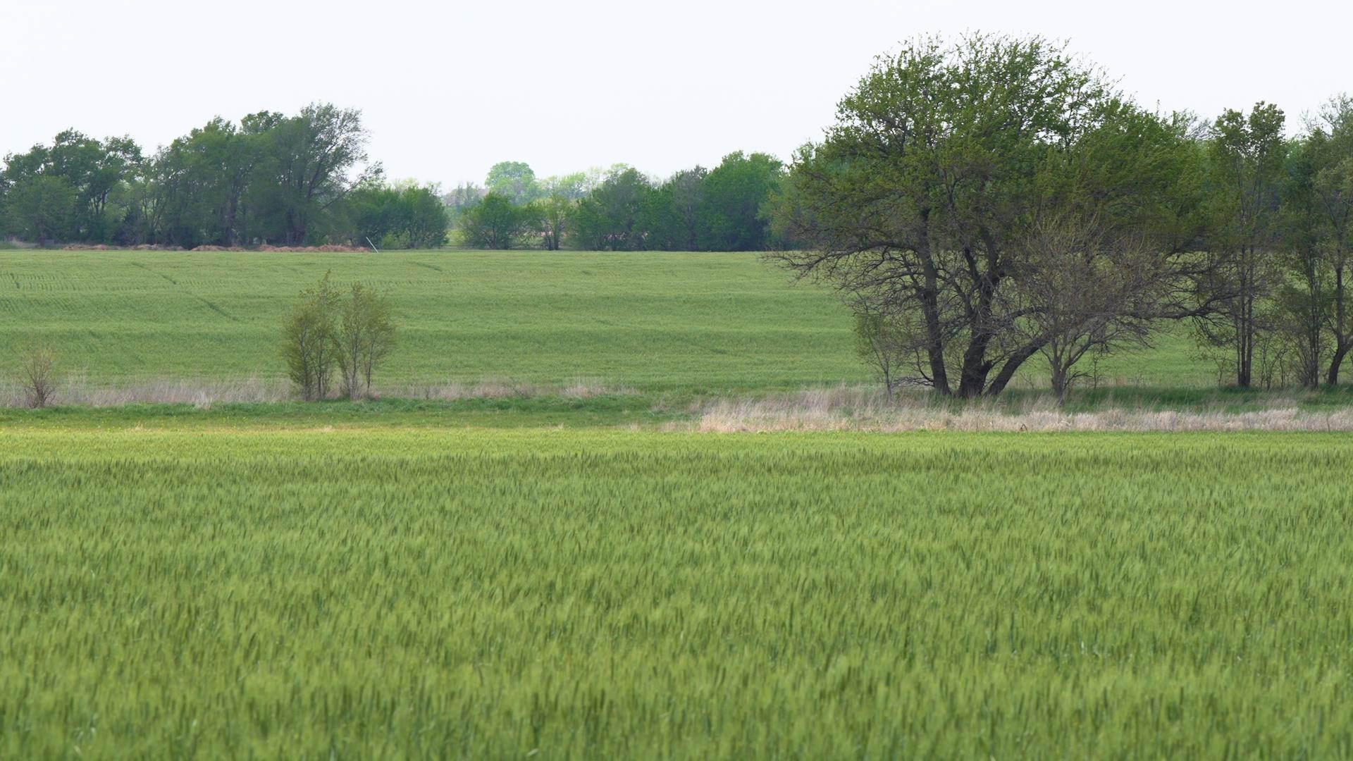 Lot Lot 5 Block 3 Dry Creek Est #16540 W Shade Ct, Goddard, KS 67052