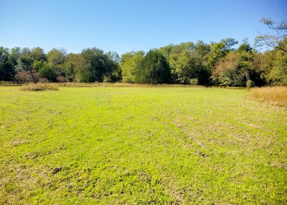 00000 Blackstone, Argonia, KS 67004