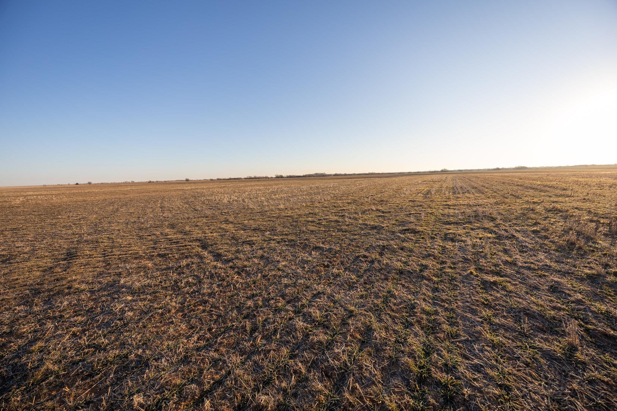 0000 S Morris Rd, Caldwell, KS 67022