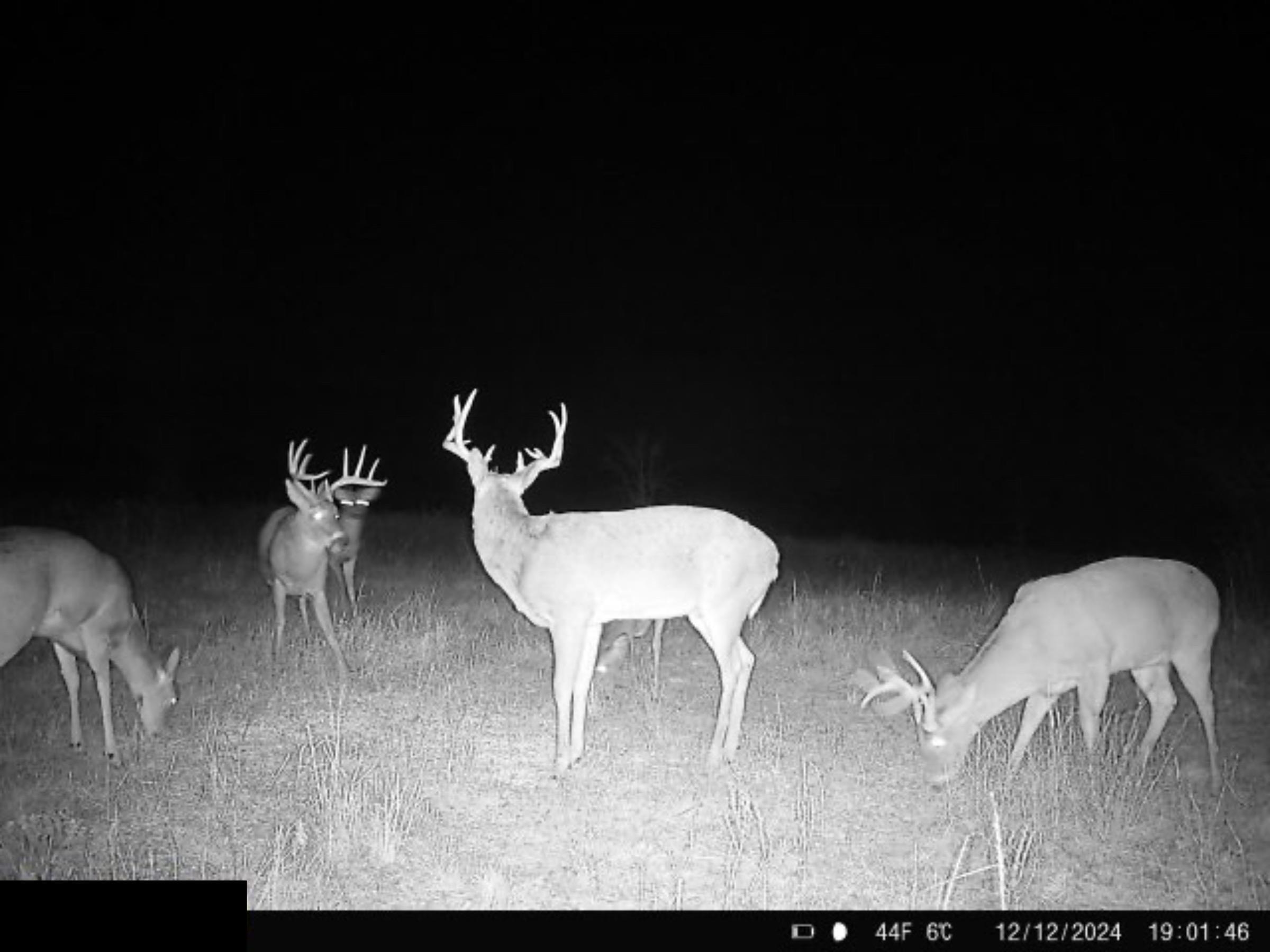 000 SE 90th, Leon, KS 67074